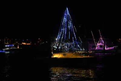 DSC_2486 (Large).JPG